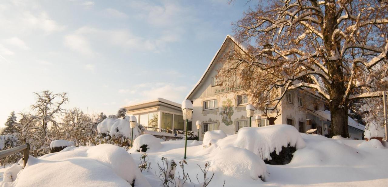 Gaestehaus Berlinger Wangen im Allgäu Exteriér fotografie